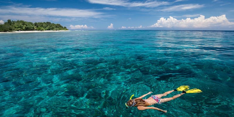 Les astuces de 8 managers pour déconnecter pendant les vacances