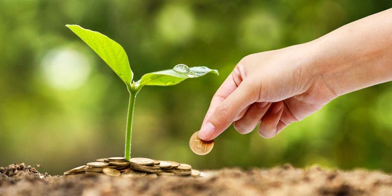 Finance responsable : vers des métiers plus éthiques ?