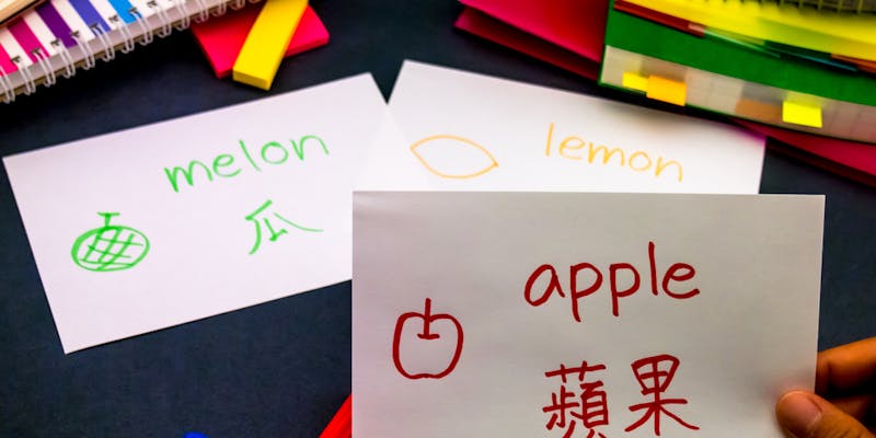Parler plusieurs langues : un atout pour votre attractivité professionnelle