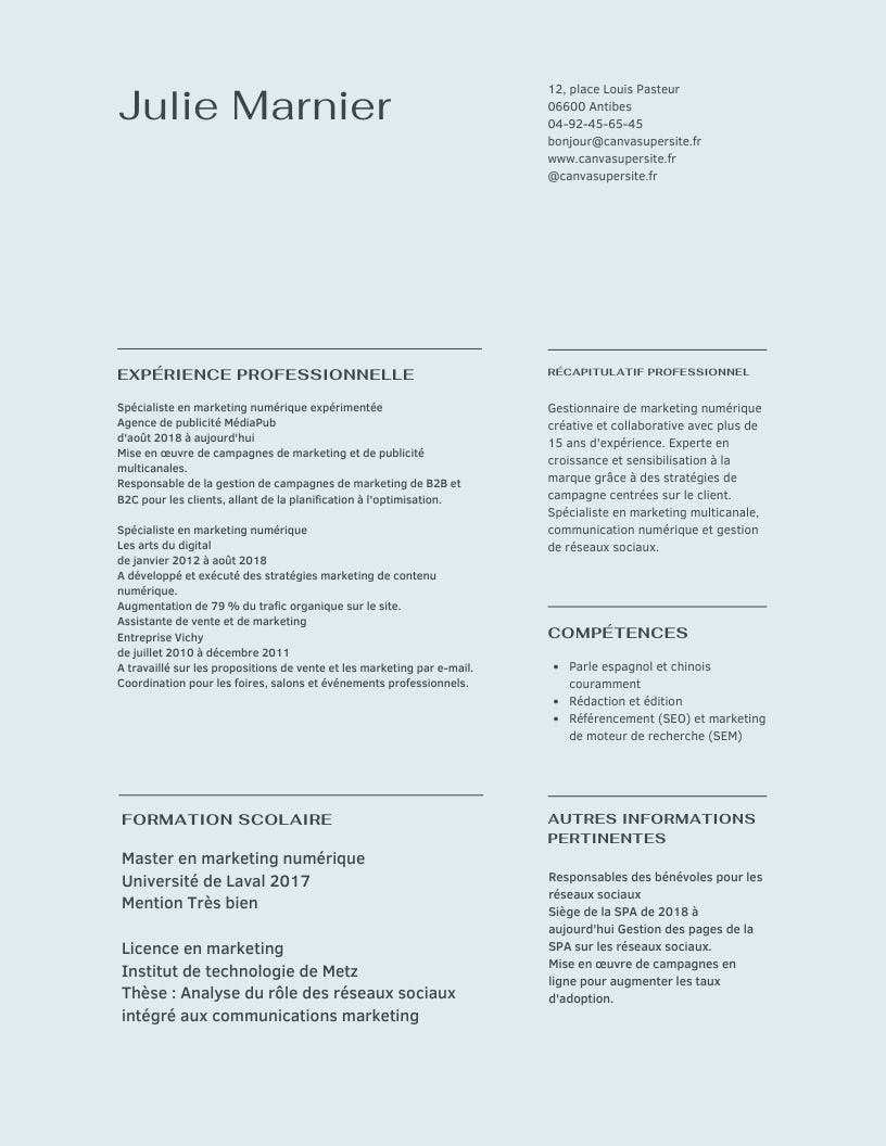 Modèle de CV marketing digital