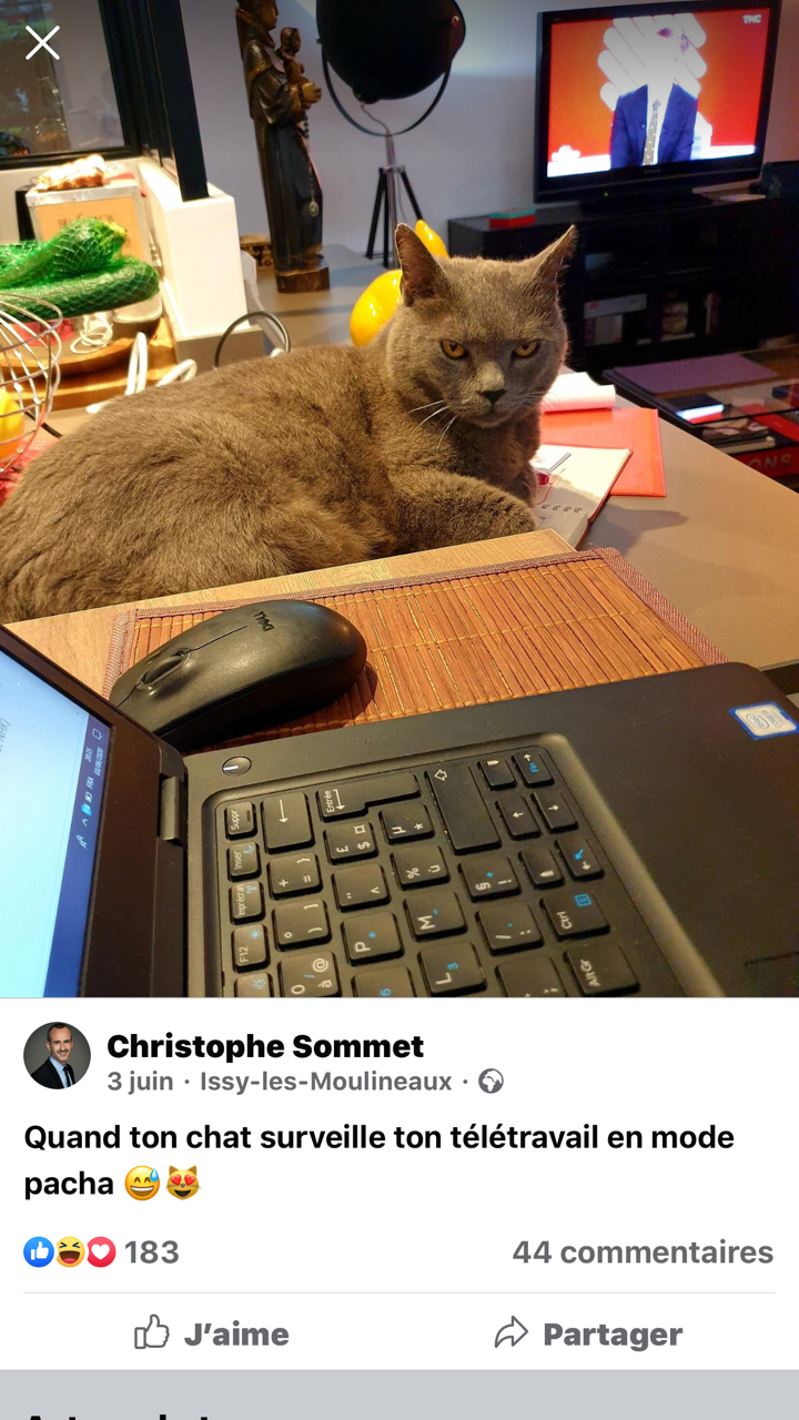Et Vous Chat Va Le Teletravail Cadremploi