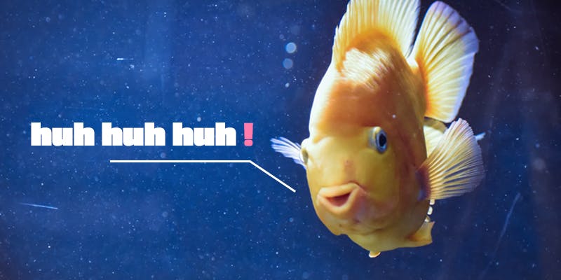Démissionner et toucher le chômage, c’est désormais possible ! (poisson d'avril)