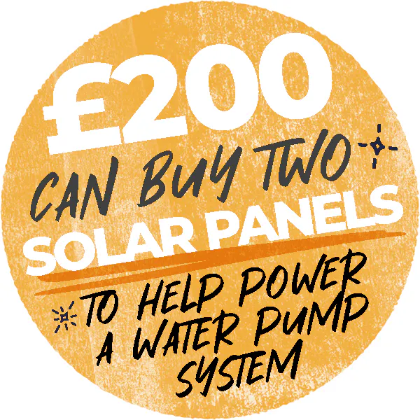 Can buy 2 solar panel to help power a water pump system