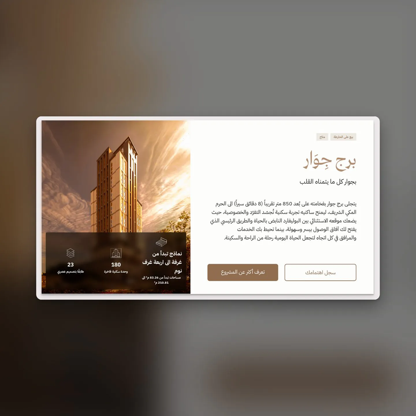 project overview section