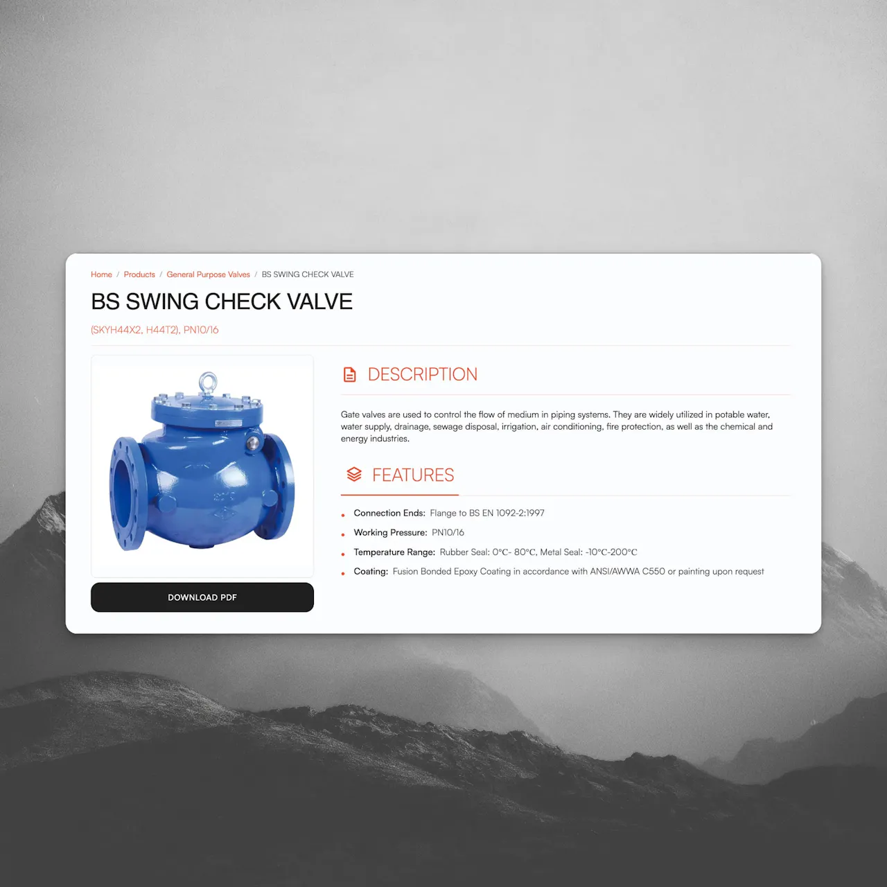 product detail page
