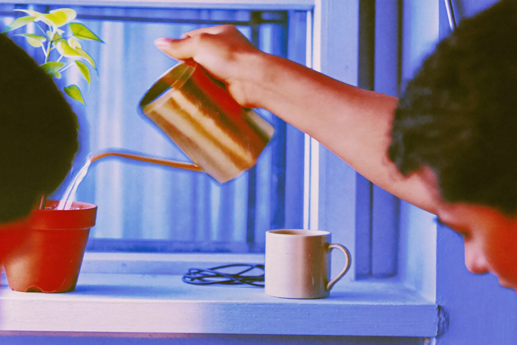 A hand watering a small potted plant on a sunny windowsill