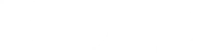 The Viral Hub