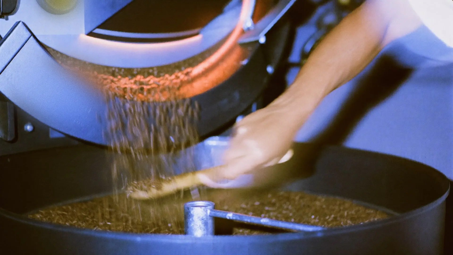 A young roaster tipping green coffee beans into a drum roaster at night, the beans blurred into a streak.