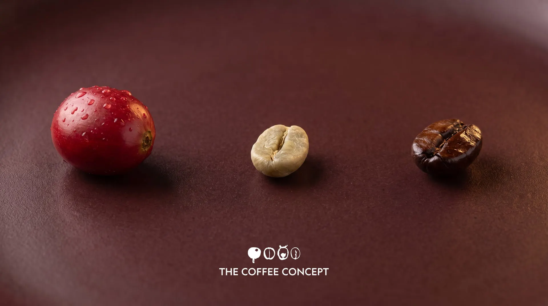 The Coffee Concept poster
