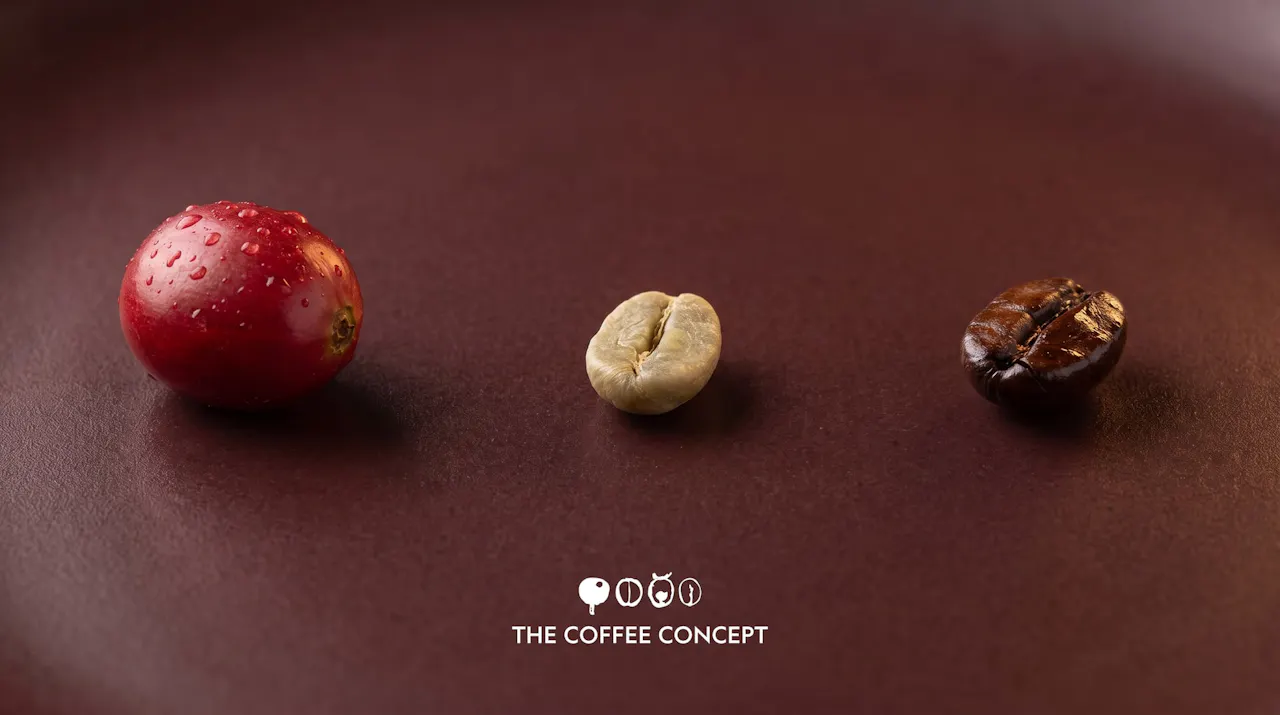 The Coffee Concept — poster