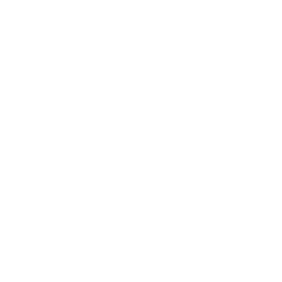 Values