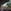 First artist reveal coming March 12