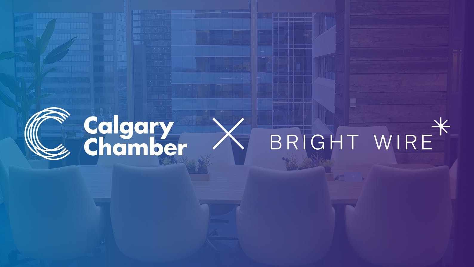 Calgary Chamber and Bright Wire Leadership