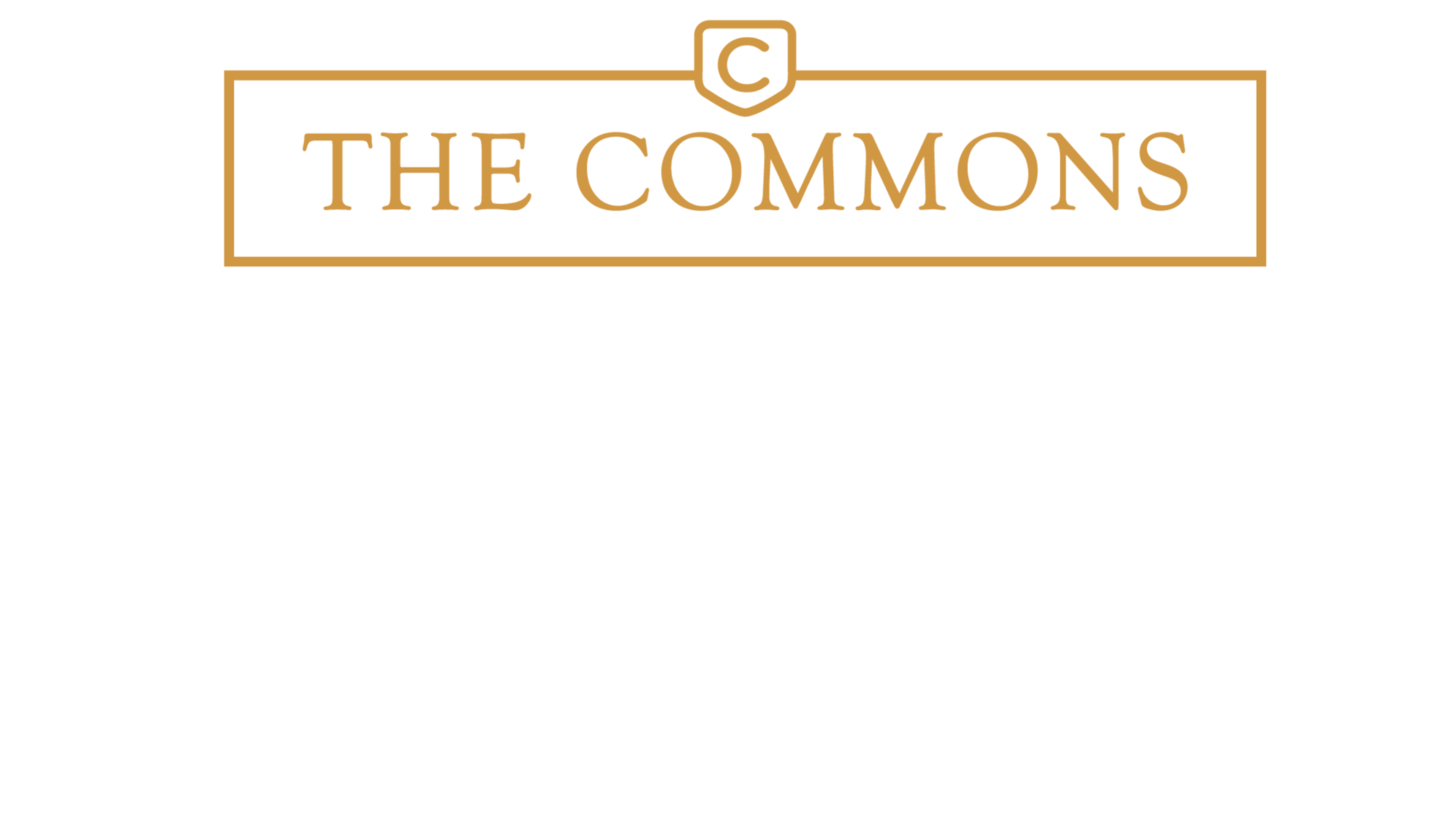 The Commons logo