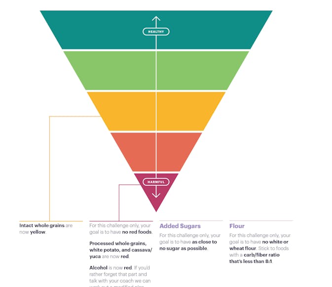 For more clarity on what changes between the Intro and Metabolic ...