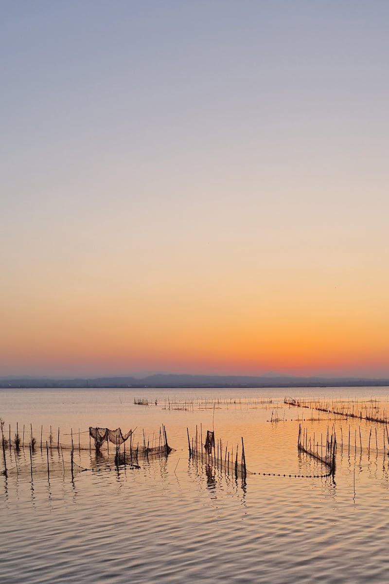 The sunset from the lake of Albufera Natural Park in Valencia