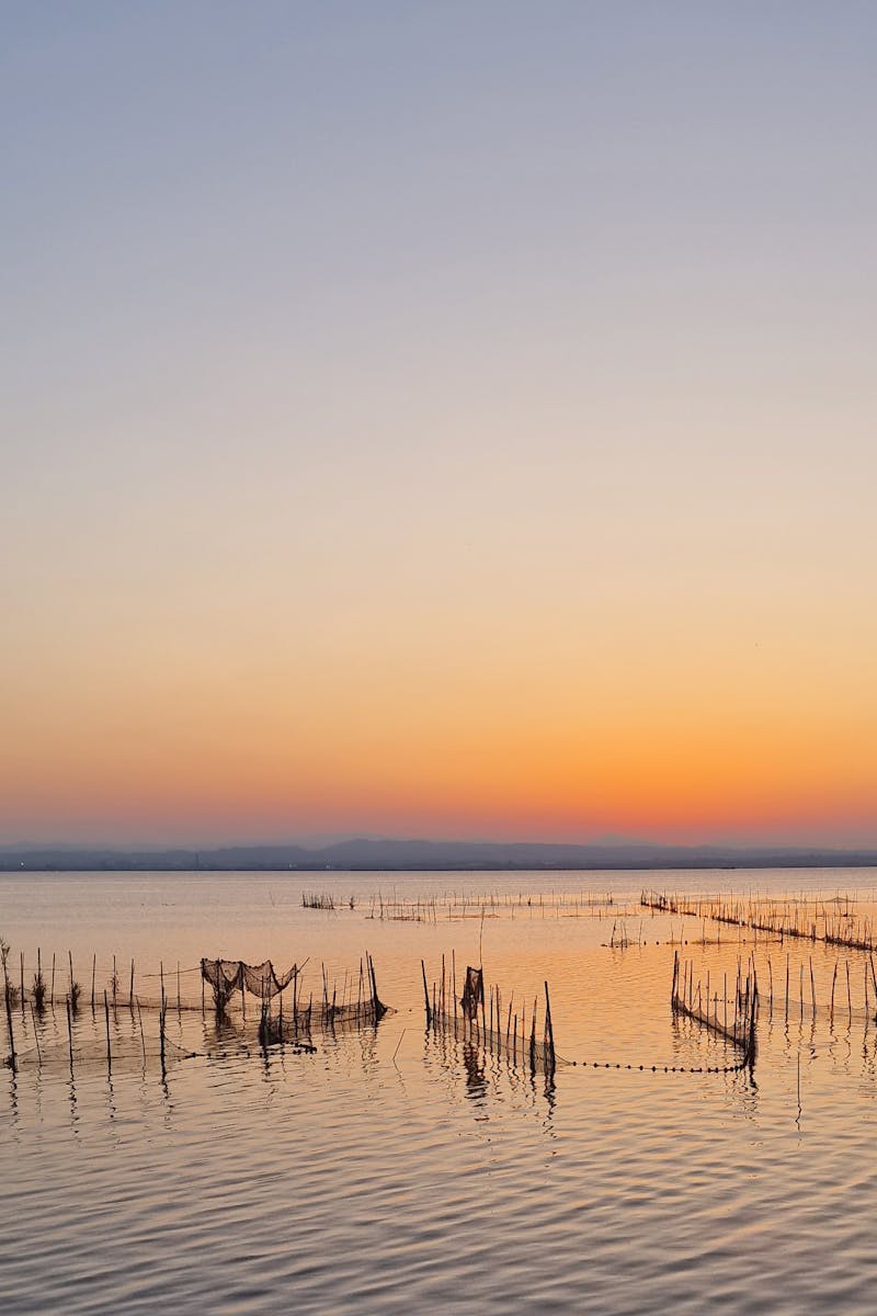 El atardecer visto desde la laguna de la Albufera en Valencia
