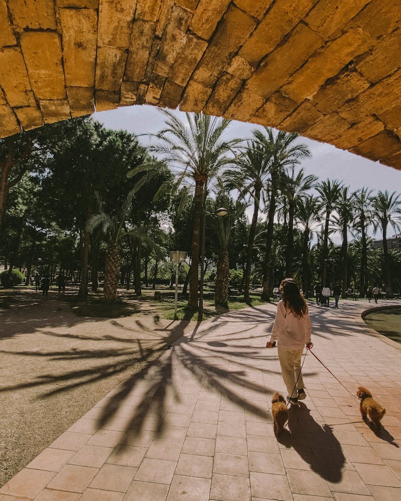 A girl walking through the Turia Garden in Valencia