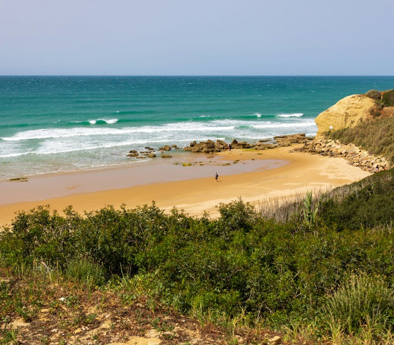 Playa salvaje de Conil de la Frontera, Càdiz. Llena de vegetación y desierta.