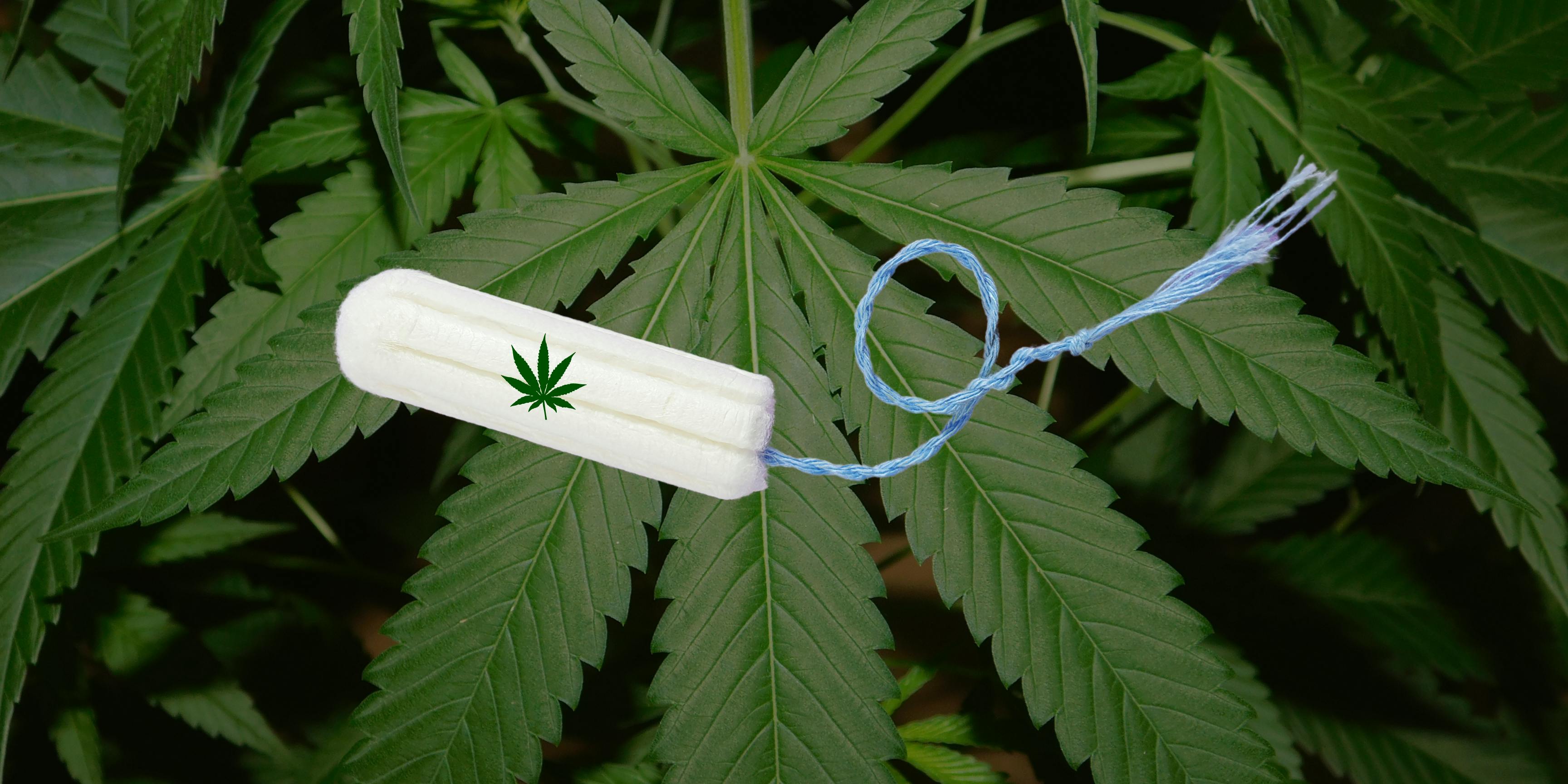 Everything you need to know about CBD tampons caliray