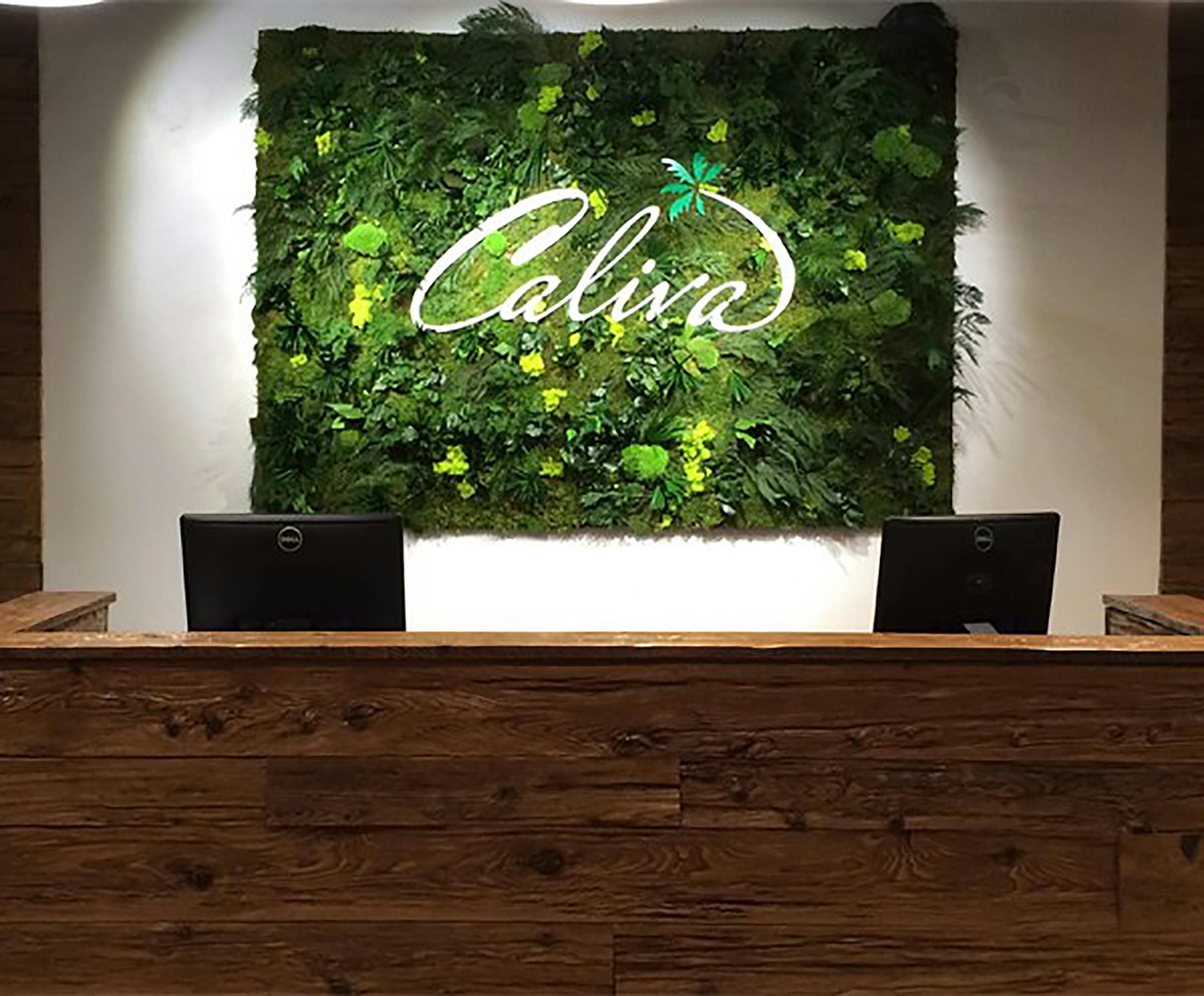 Caliva San Jose In Store