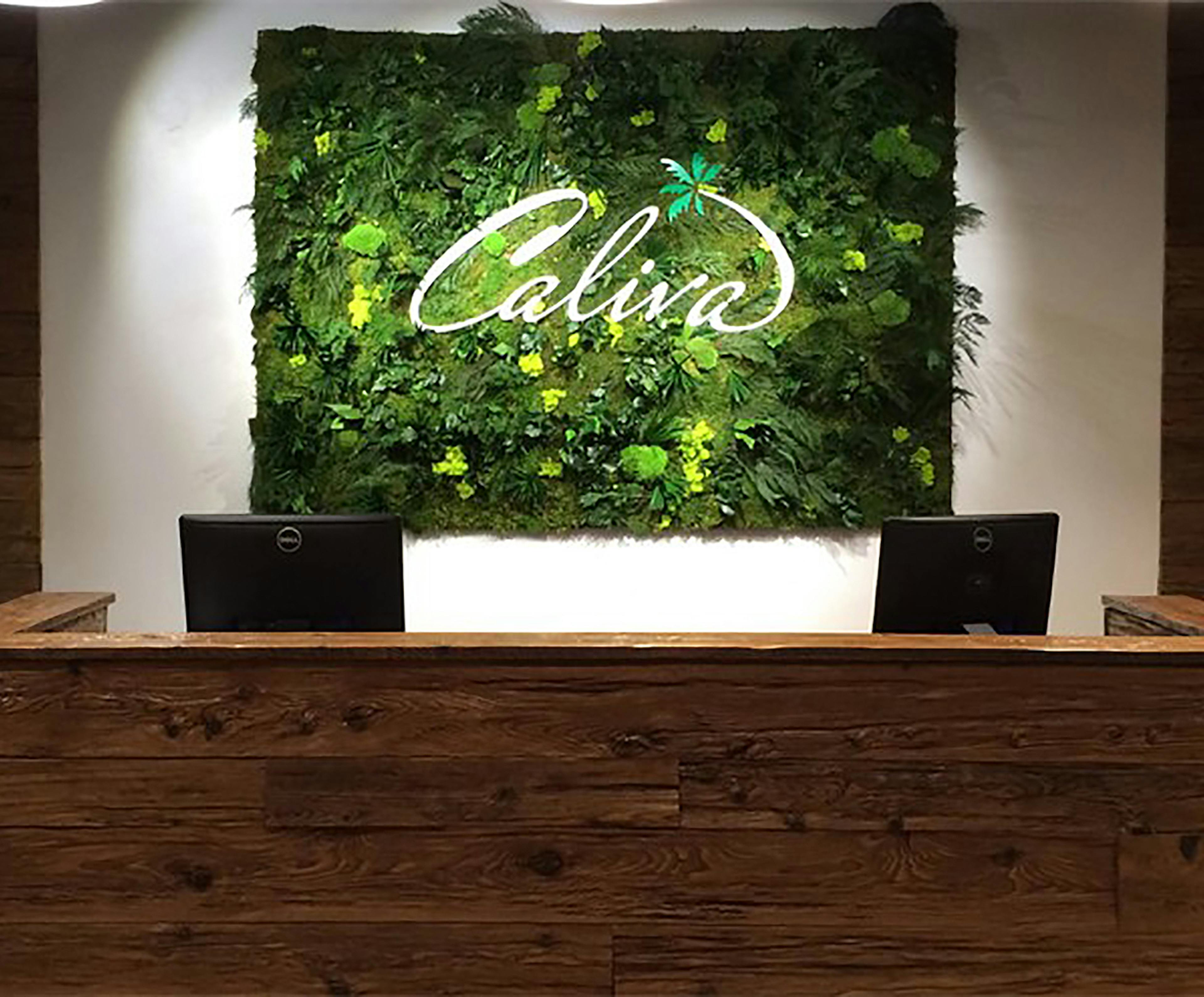 Caliva San Jose In Store