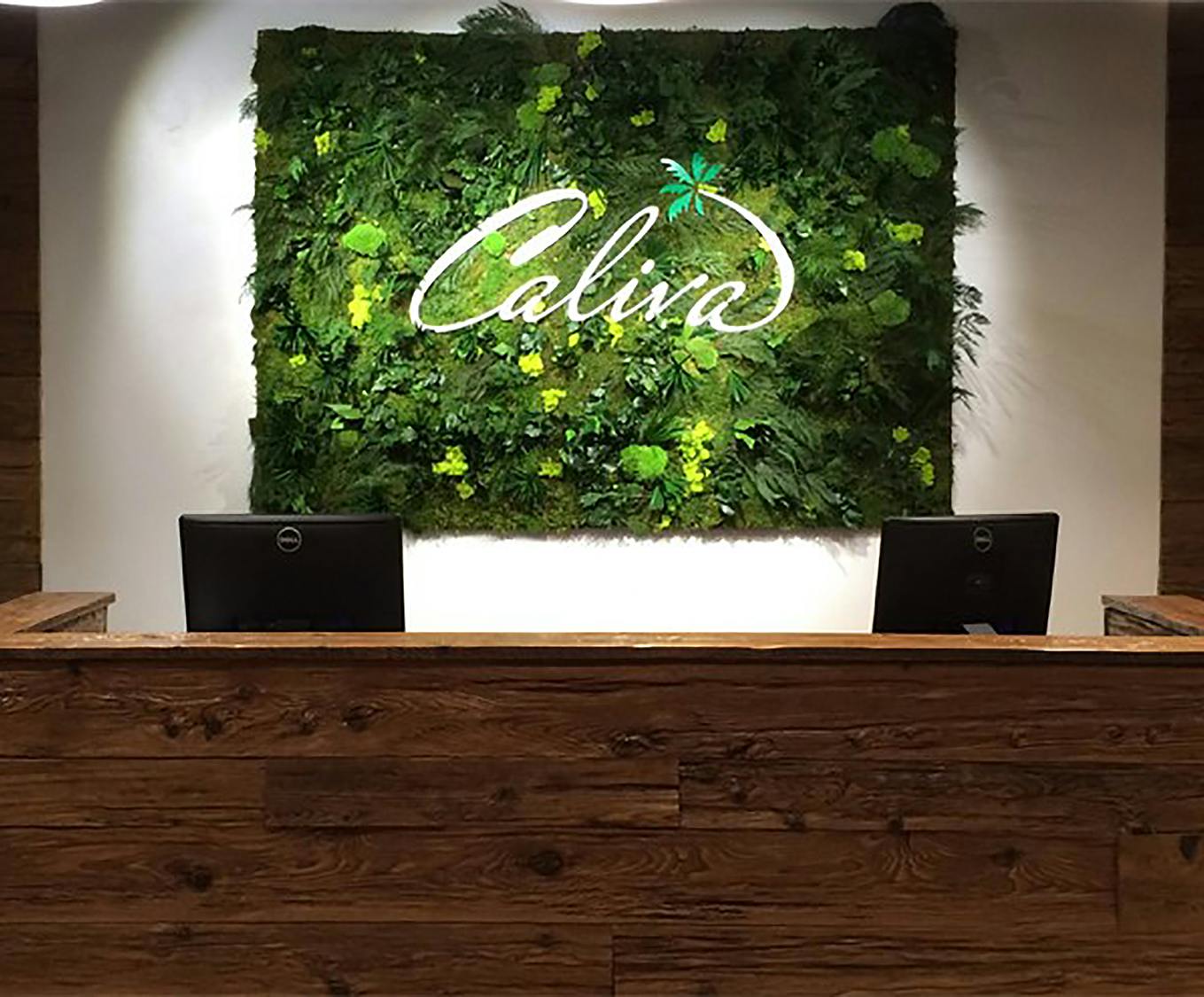 Caliva San Jose In Store