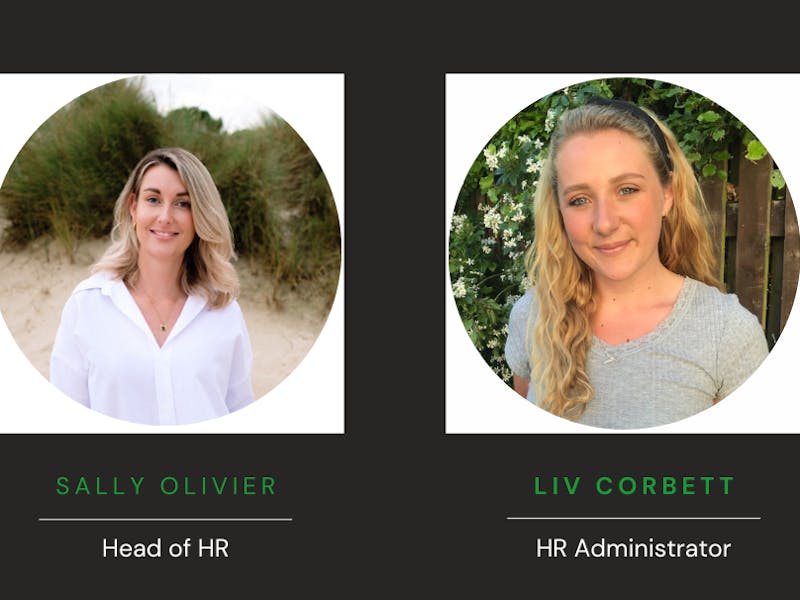 HR Department in Focus