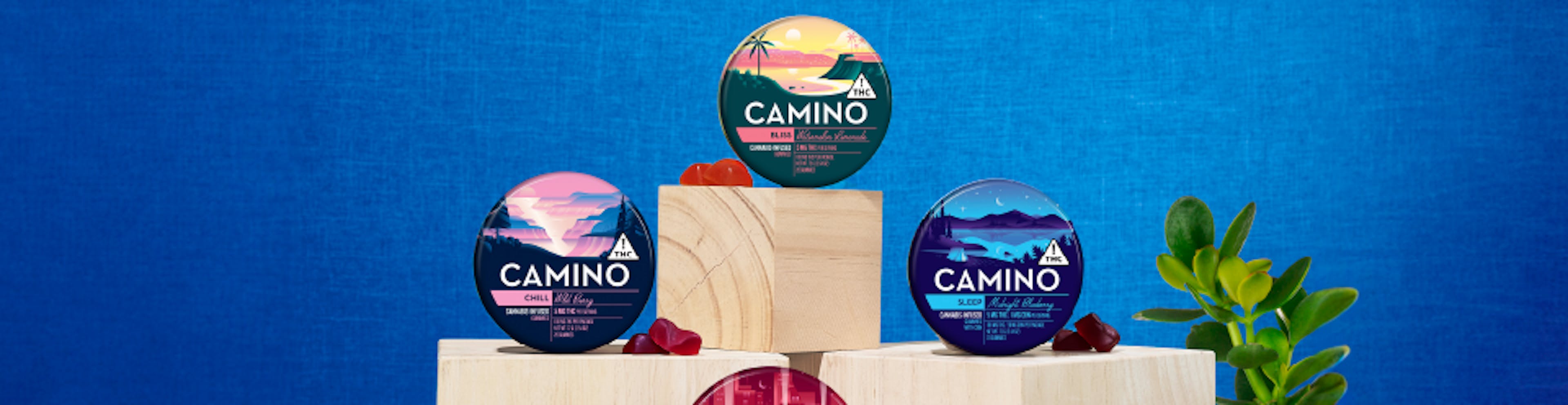 Camino Gummies Banner