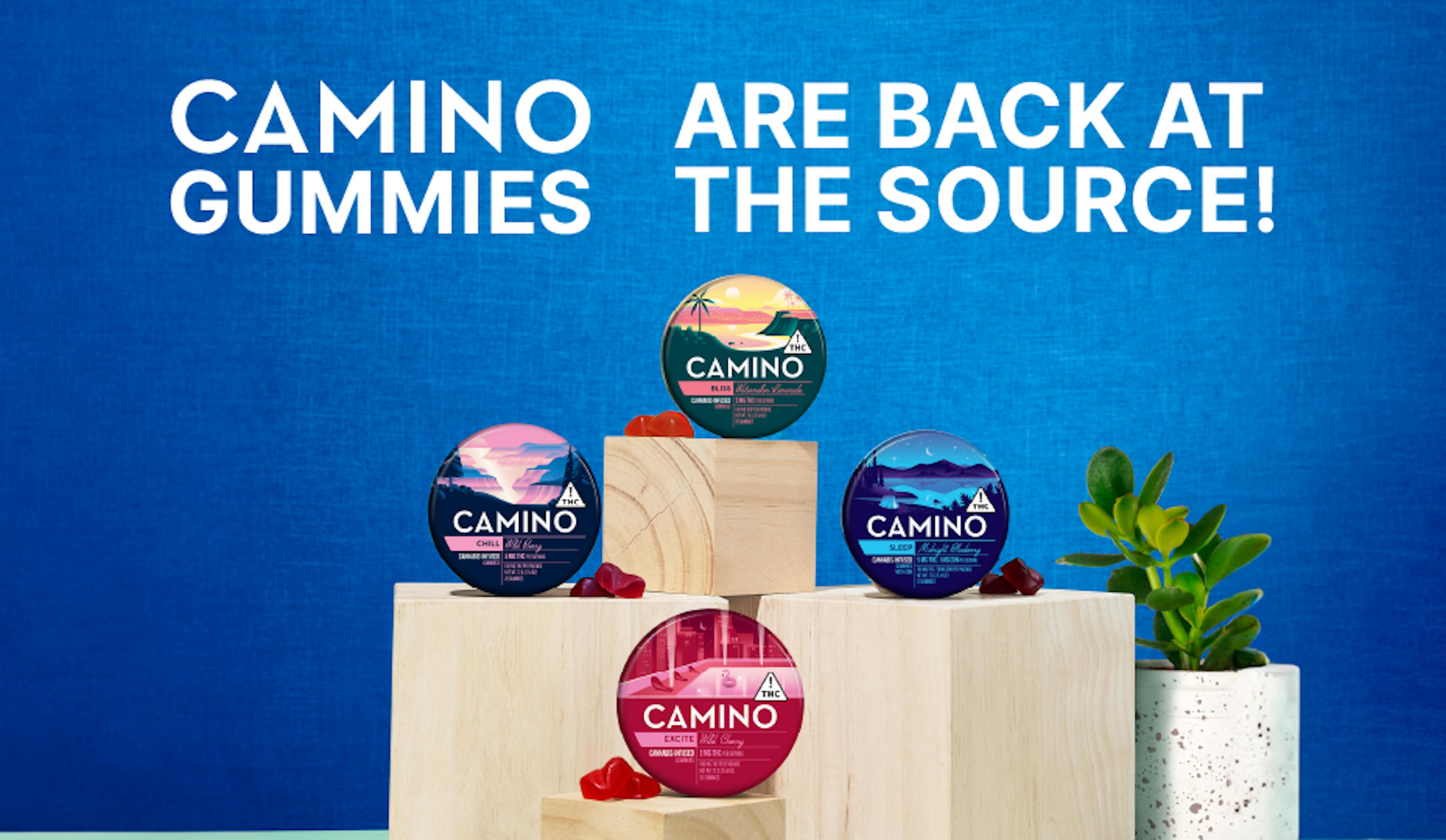 Camino Gummies Banner