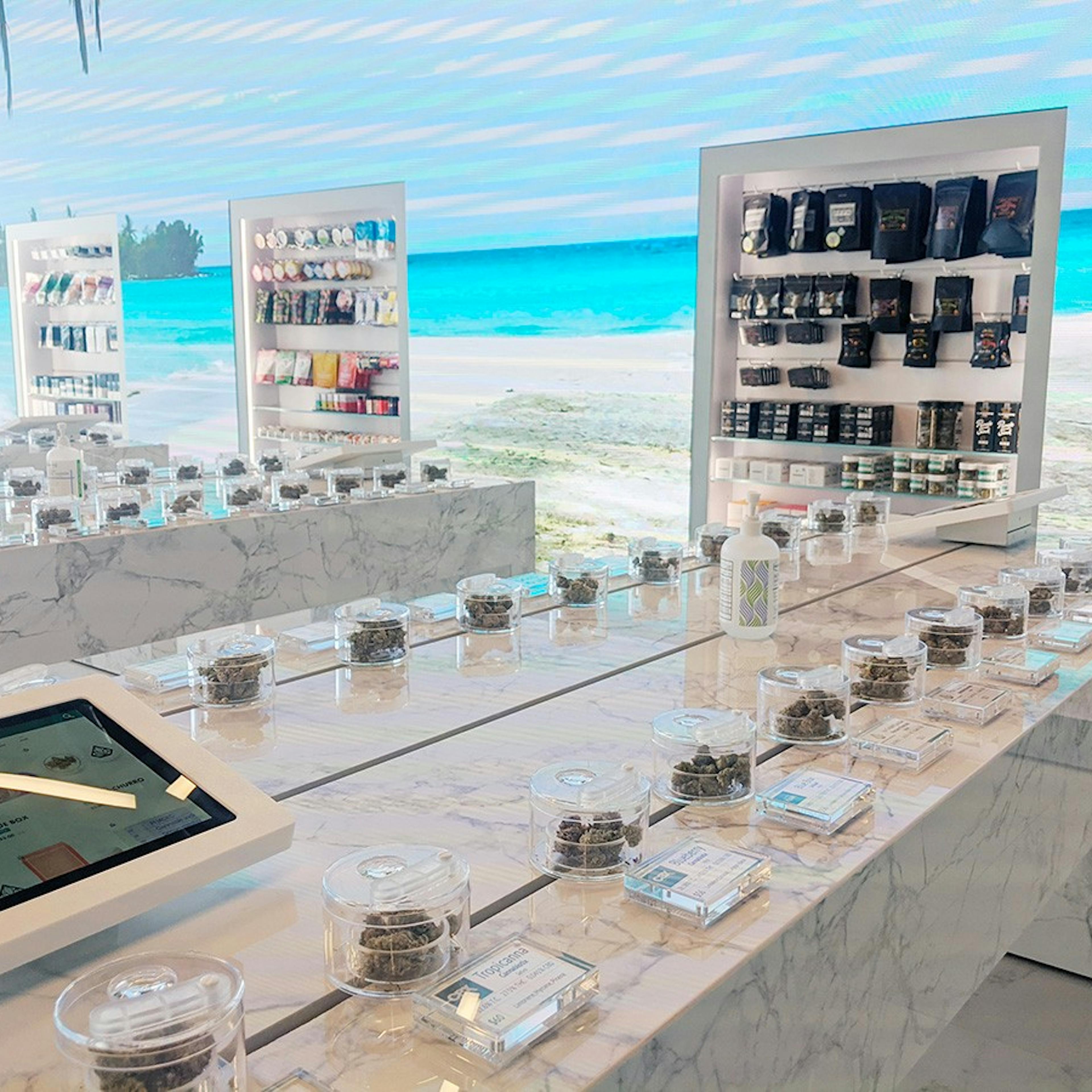 Calma West Hollywood In Store