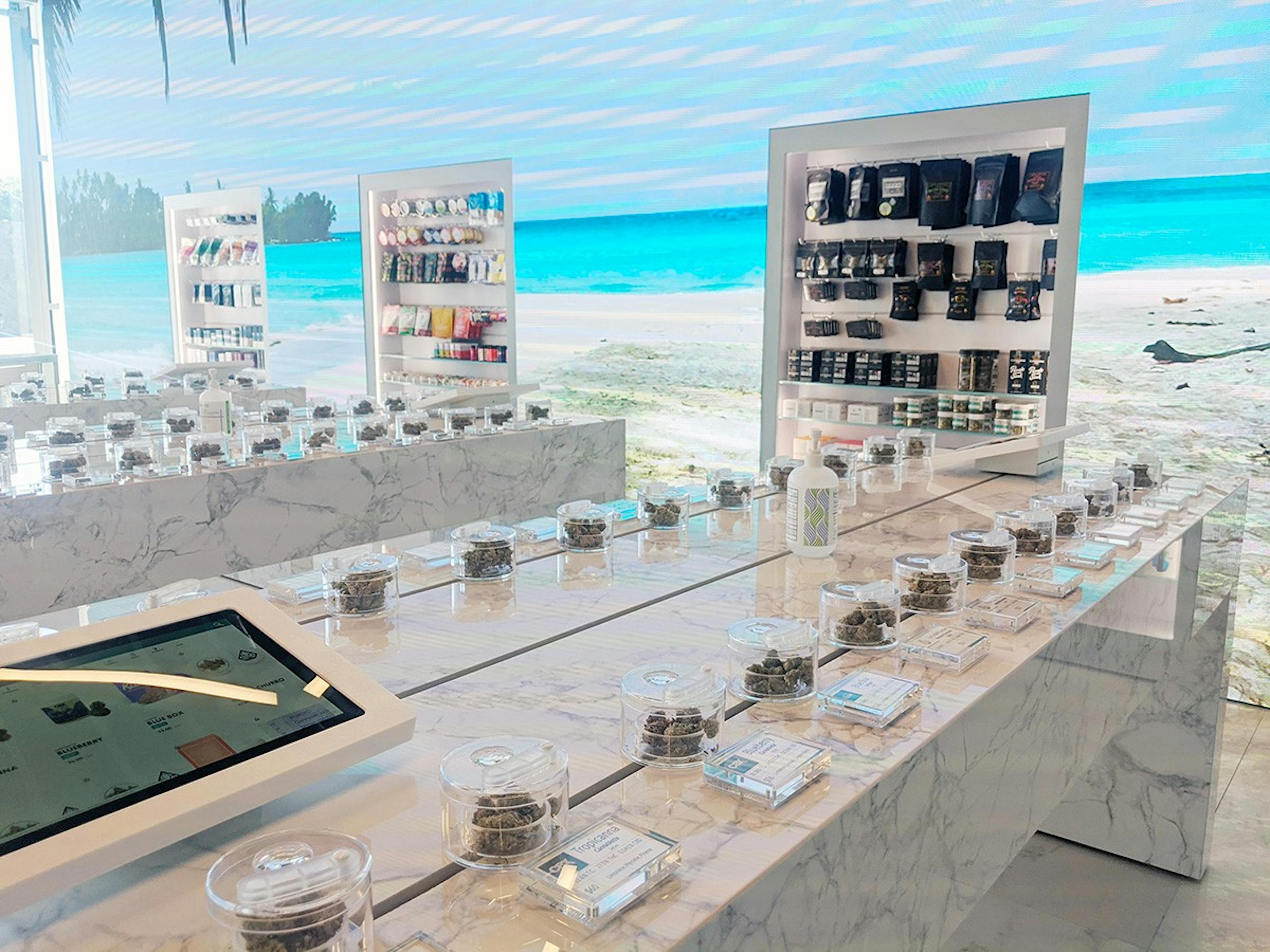 Calma West Hollywood In Store