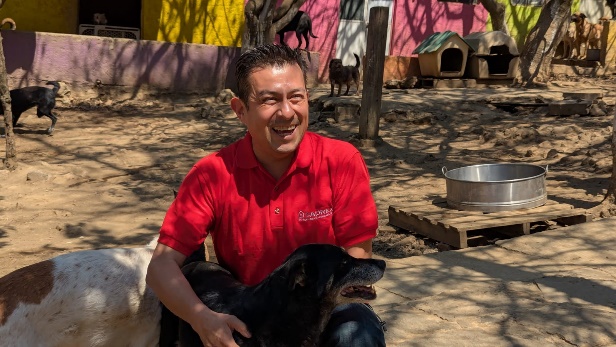 News Hub detail cover