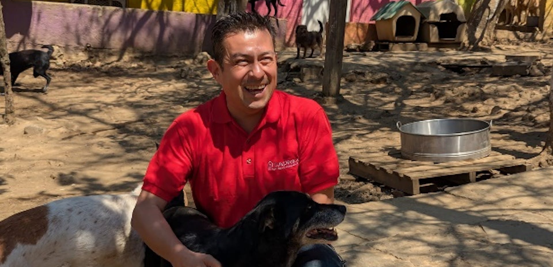 News Hub detail cover