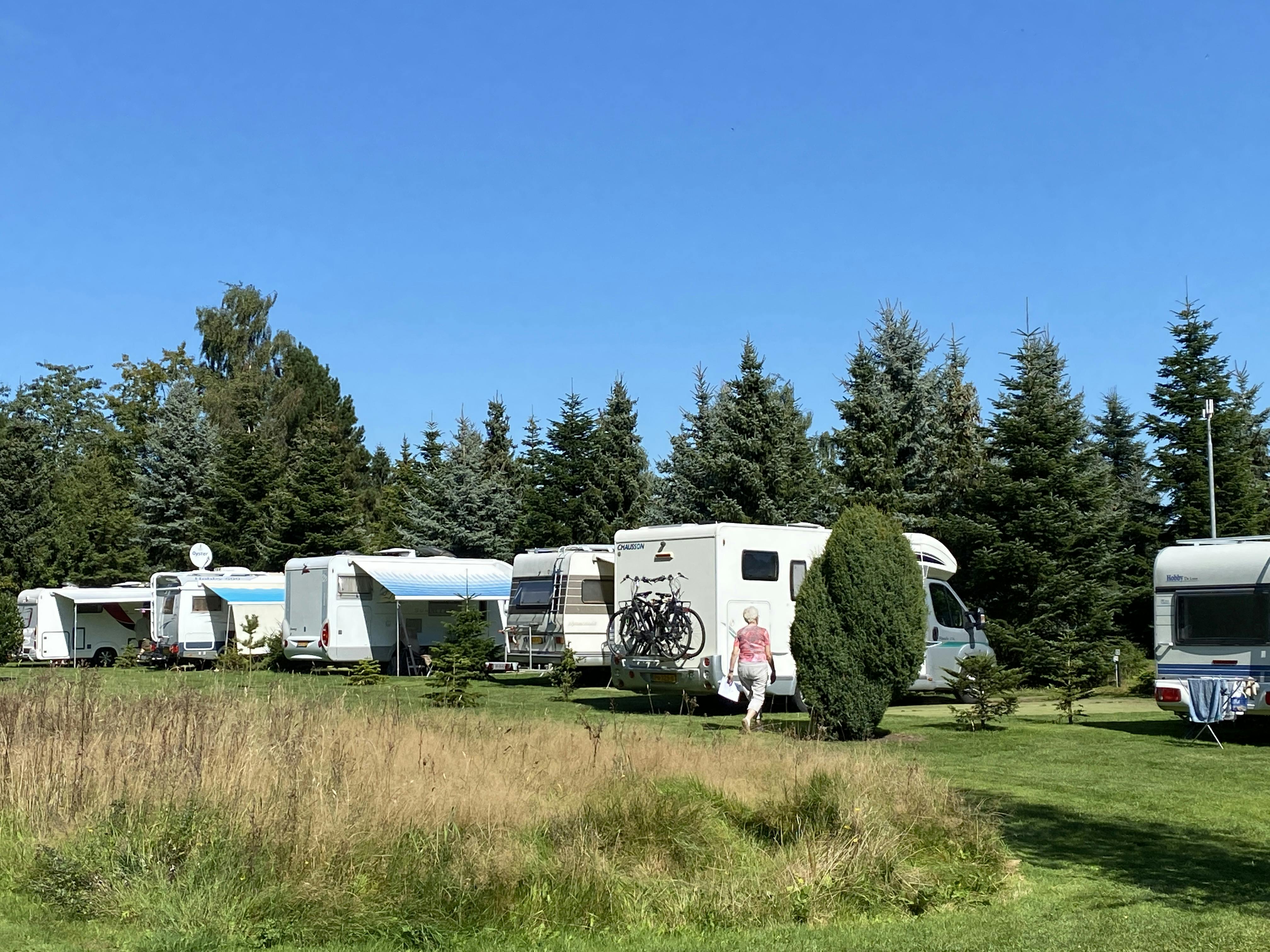 SVR Landschapscamping Sparrenhof - Camping van het jaar 2022