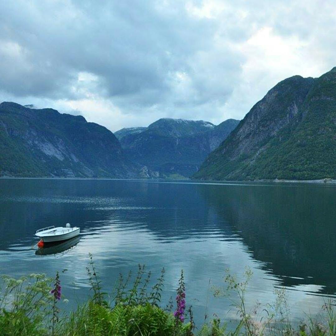 Schöne Hardangerfjord
