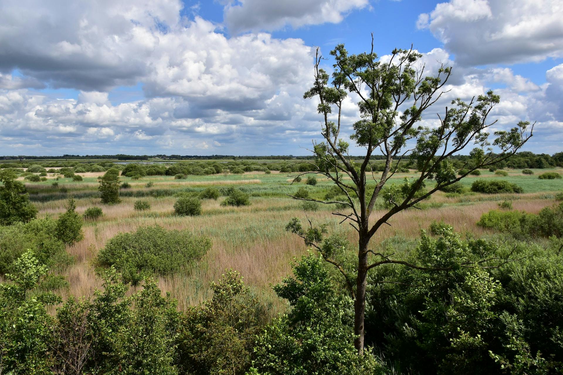 Parc national De Alde Feanen