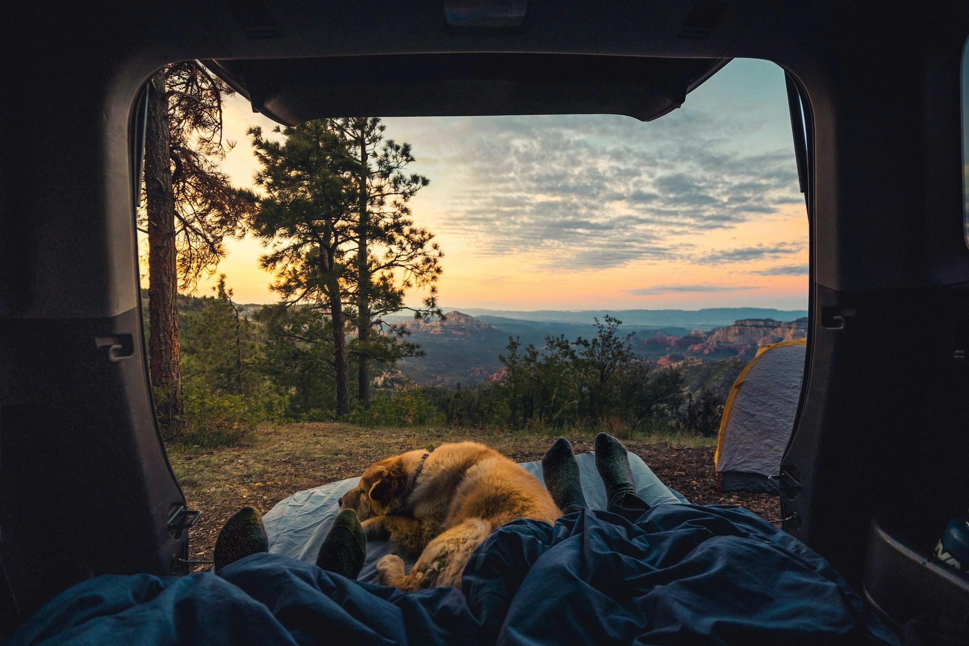 campings met hond