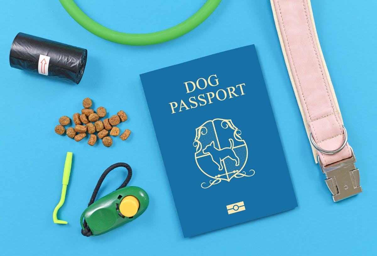 Dog passport