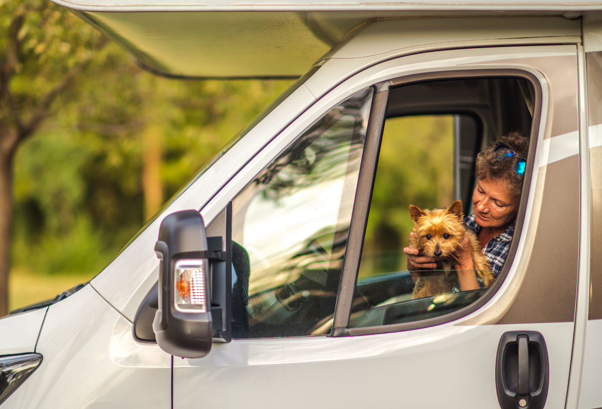 Kopfzeile - Hundefreundliche wohnmobilstellplätze