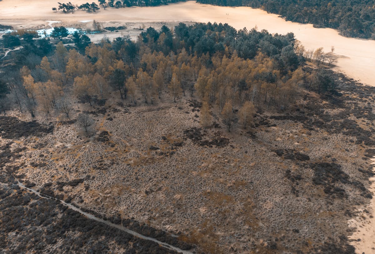 Loonse en Drunense Duinen