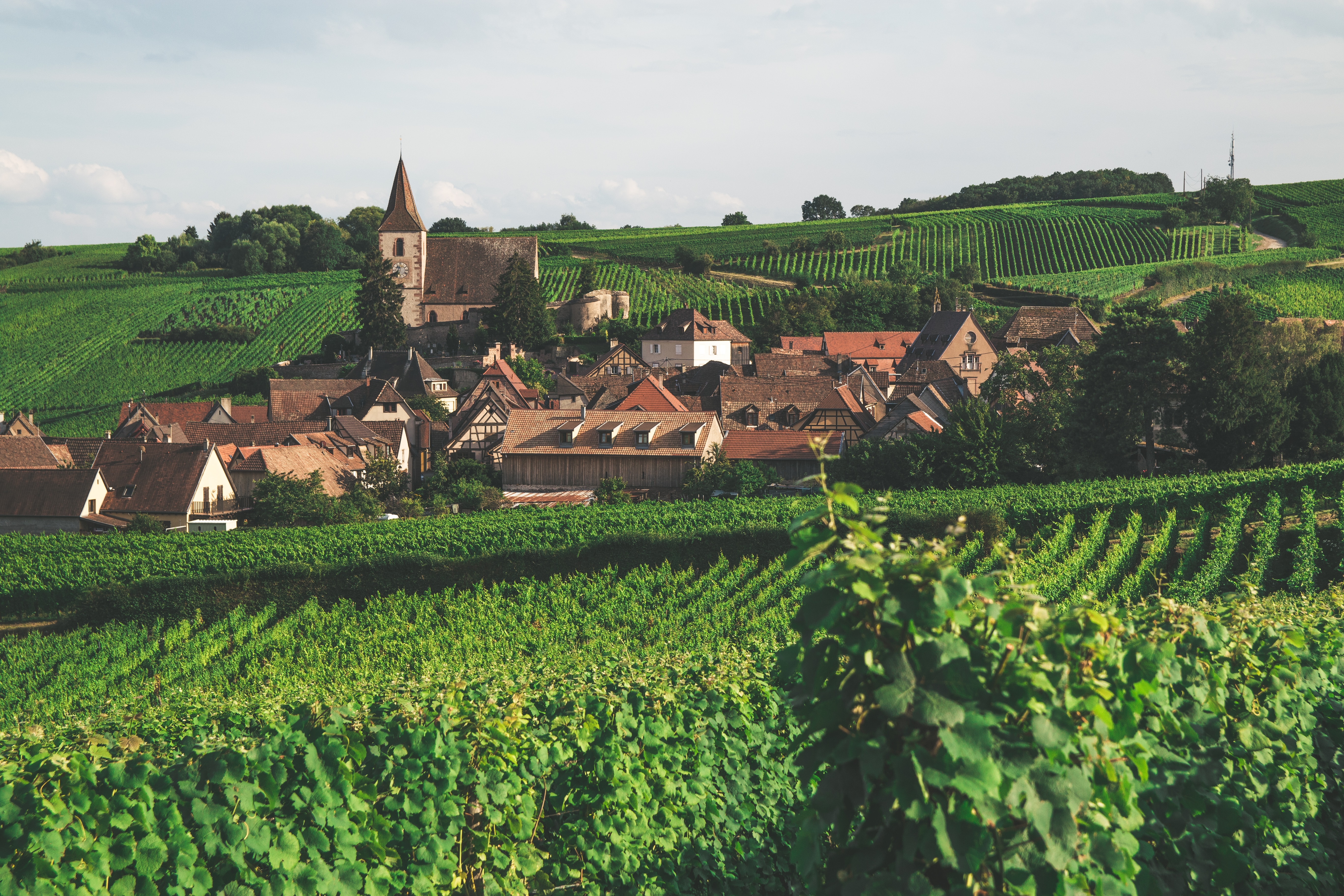 Alsace