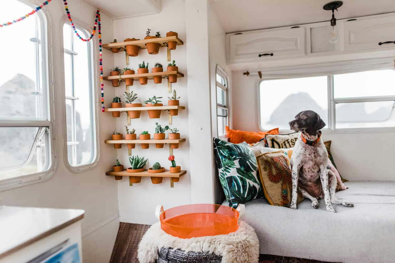 Campercontact - Verschönern Sie das Innere Ihres Wohnmobils mit Pflanzen  (source: Mandy Holesh @188sqft)