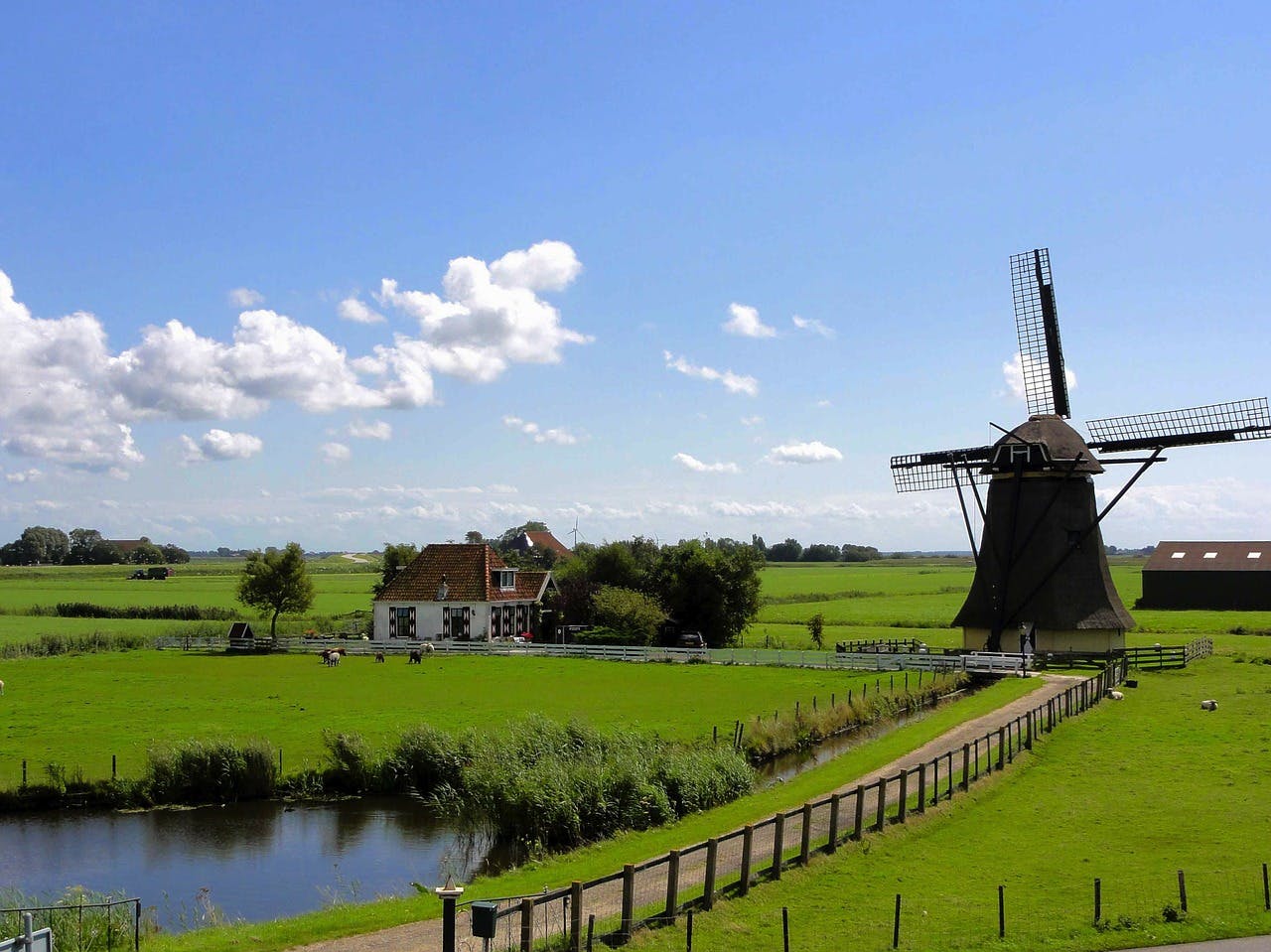 Campercontact Länderinformationen - Mühlen in der niederländischen Landschaft