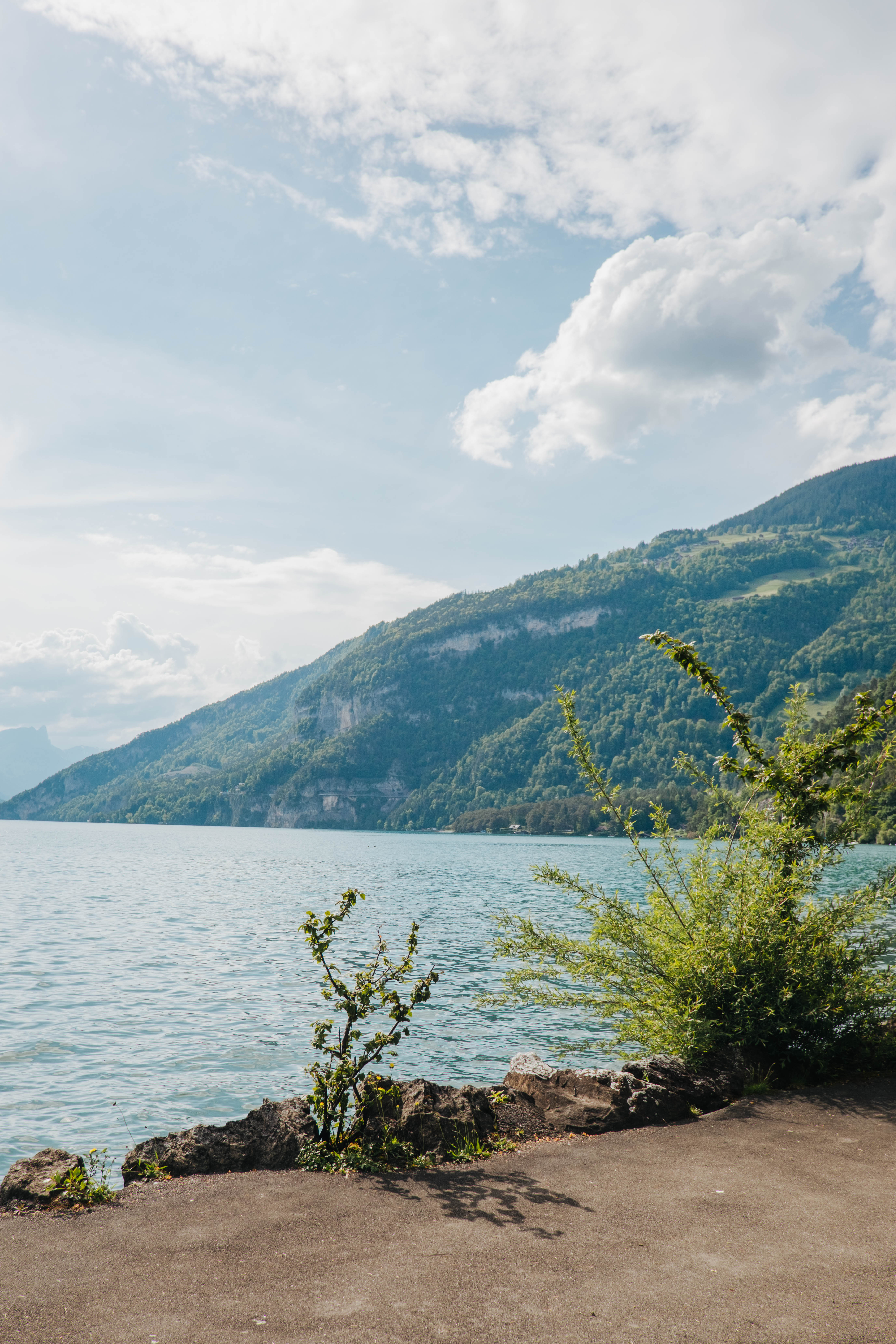 Thunersee in Unterseen mit Bergen im Hintergrund