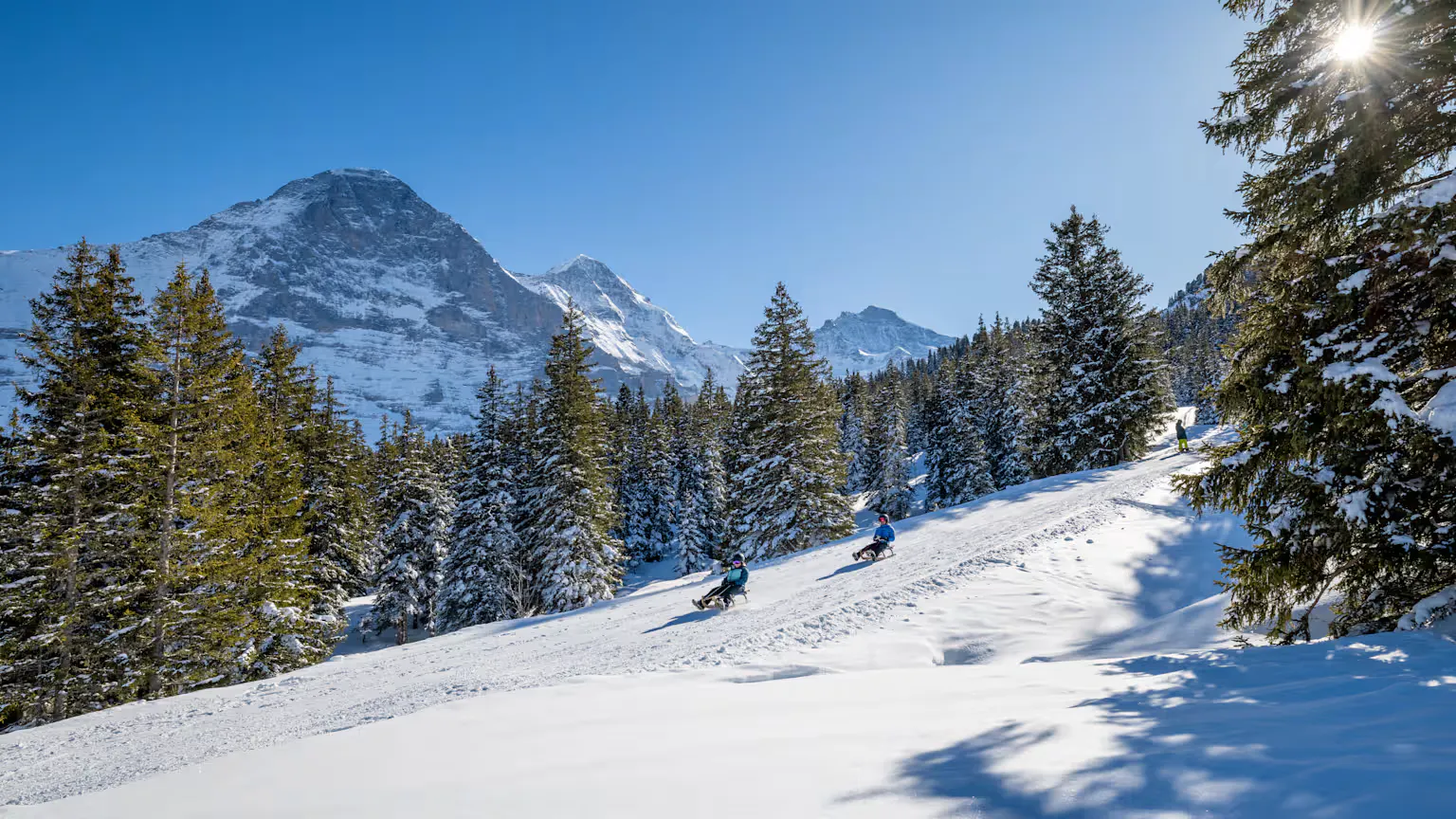 Zwei Personen am Schlitteln im verschneiten Wald mit Bergpanorama
