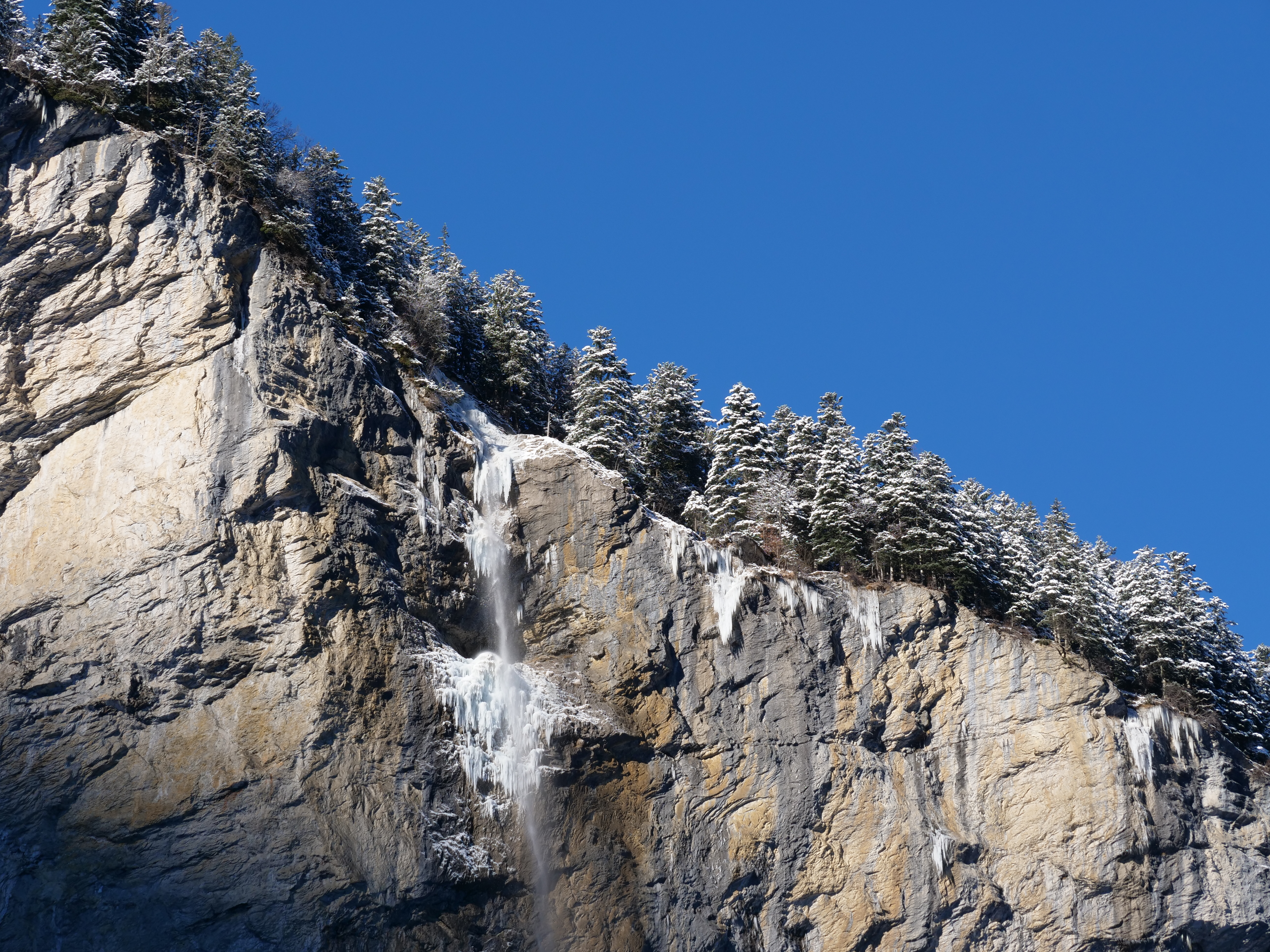 Felswand mit vereistem Wasserfall und verscheiten Tannen bei blauem Himmel