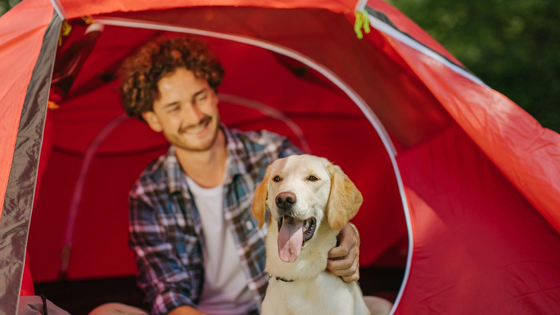 Mann sitzt in rotem Zelt mit golden Retriever vor sich