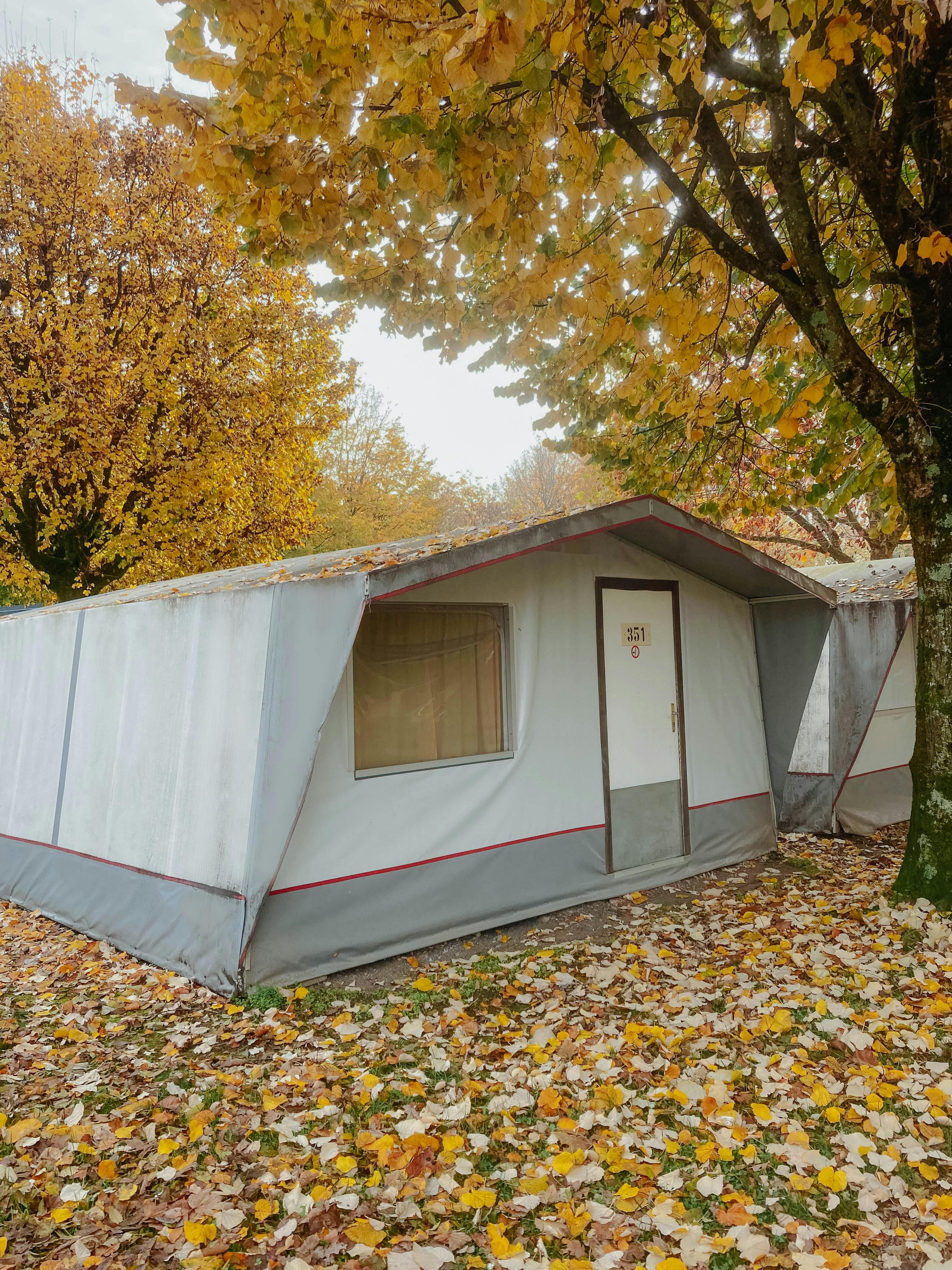 Familienzelt auf dem Camping Lausanne mit bunten Herbstblättern