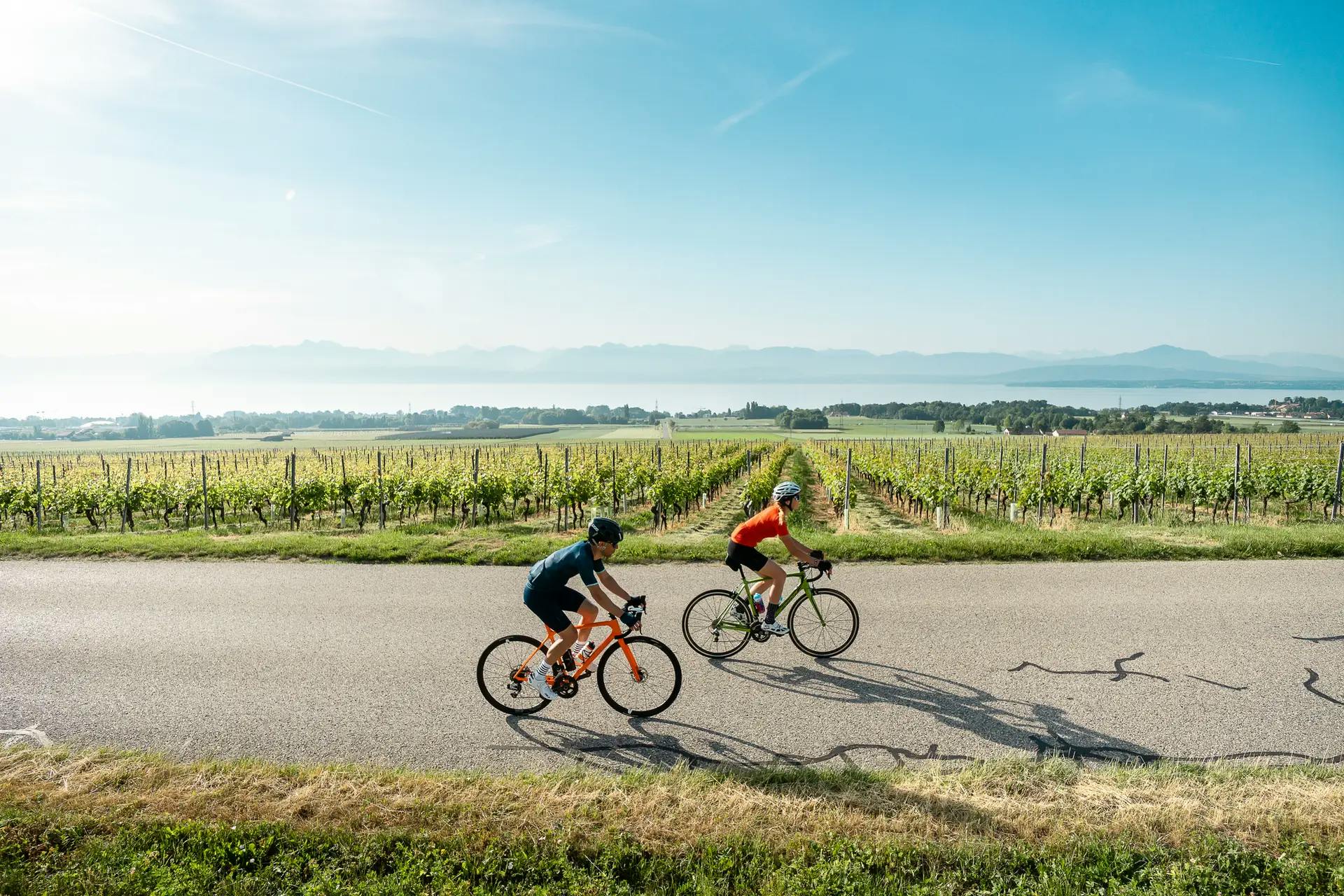 Zwei Velofahrer fahren durch die Weinberge von La Côte in der Nähe des Genfersees